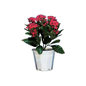�t�����[�{�b�N�X�Ή��l�H���؉Ԕ��u�J�����R�G ���b�h�v &nbsp;AC761020Z